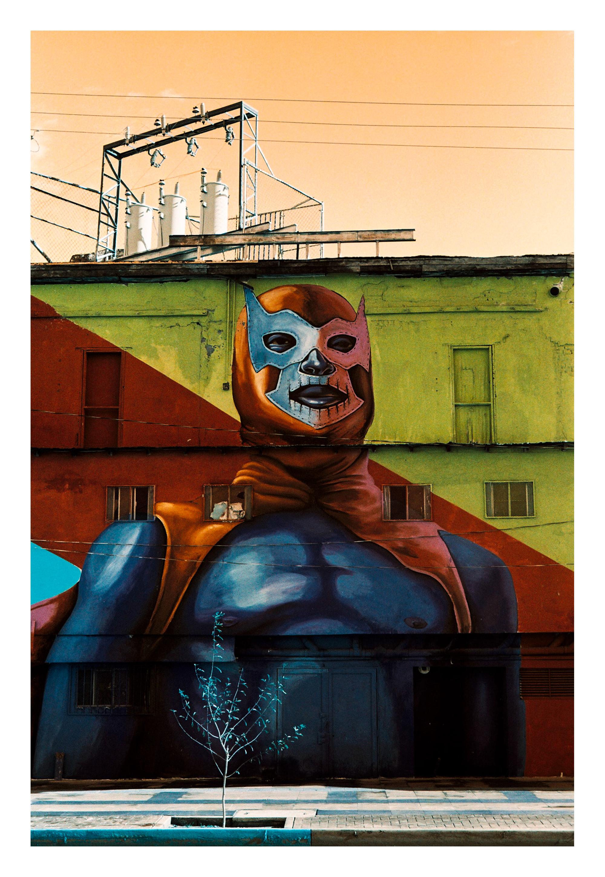 Mural Blue Demon